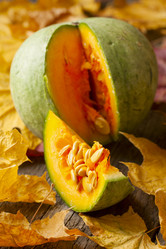 Similar image 6666813