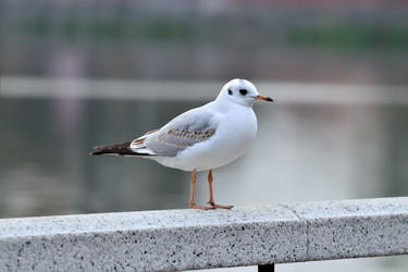 Similar image 6666823