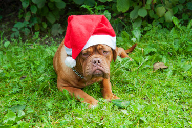 Similar image 6667375