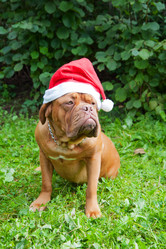 Similar image 6667378