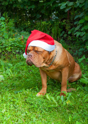 Similar image 6667382