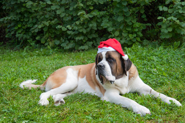 Similar image 6667384