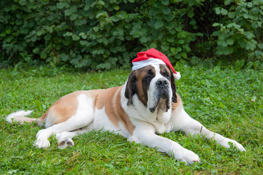 Similar image 6667385