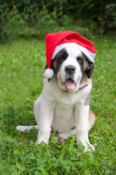 Similar image 6667386