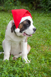 Similar image 6667387