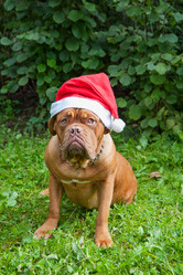 Similar image 6667389