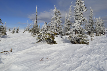 Similar image 6667465