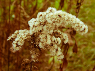 Similar image 6667470