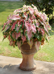 Similar image 6667525