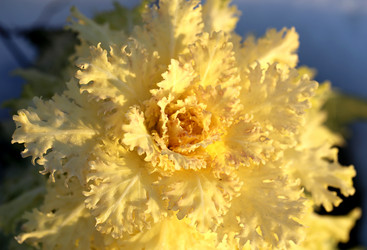 Similar image 6667528