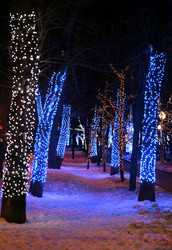 Similar image 6667551