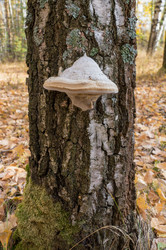 Similar image 6667601