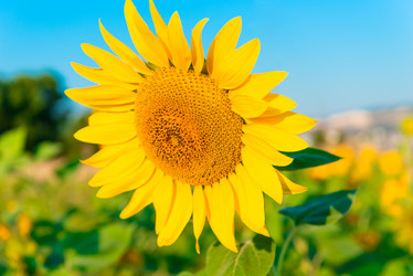 Similar image 6667622