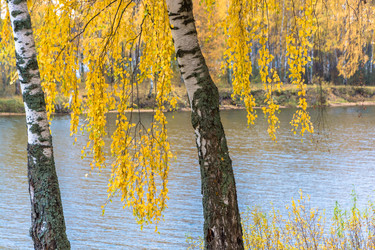 Similar image 6667680