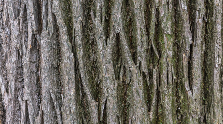 Similar image 6667682