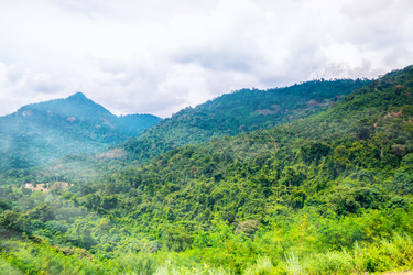 Similar image 6667772