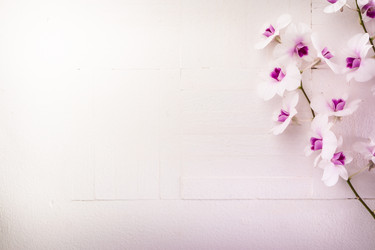 Similar image 6667780