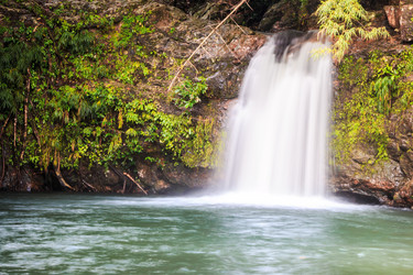 Similar image 6667788