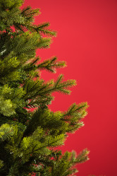 Similar image 6667908