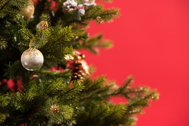 Similar image 6667984