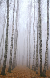 Similar image 6668703