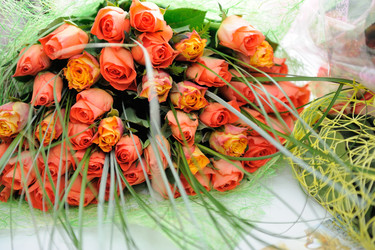 Similar image 6668707