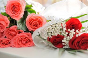 Similar image 6668708