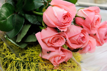 Similar image 6668709