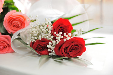 Similar image 6668710