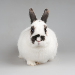 Similar image 6668768