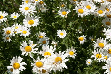 Similar image 6668770