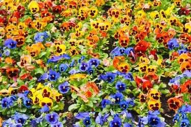 Similar image 6668777