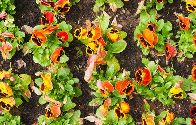 Similar image 6668778