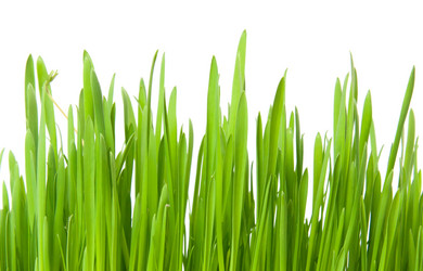 Similar image 6668783