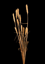 Similar image 6668784