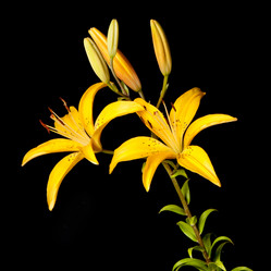 Similar image 6668785