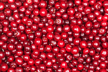 Similar image 6668787