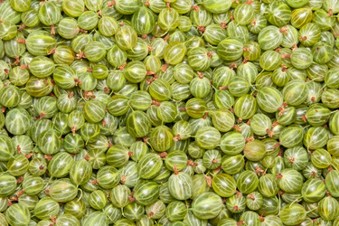 Similar image 6668788