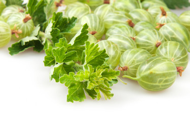 Similar image 6668789