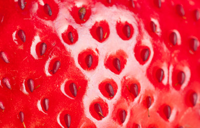 Similar image 6668791