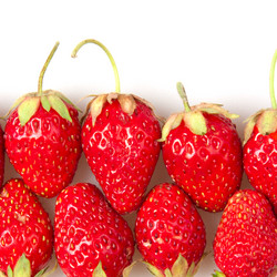 Similar image 6668794