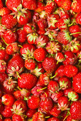 Similar image 6668798