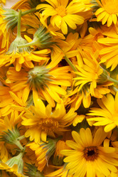 Similar image 6668802