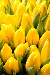 Similar image 6668806