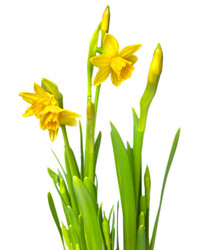 Similar image 6668807