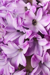 Similar image 6668811