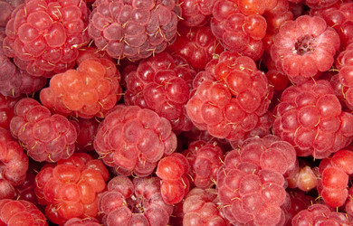 Similar image 6668814