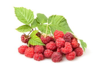 Similar image 6668815