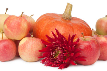 Similar image 6668816