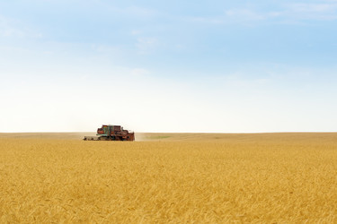 Similar image 6668821